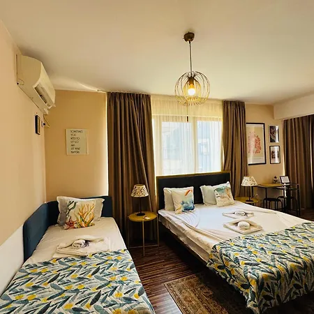 Apartament Desi House 302 A Large Cozi *